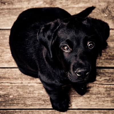 强劲性能出众的ddos服务器攻击手段