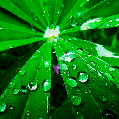 Web漏洞扫描工具