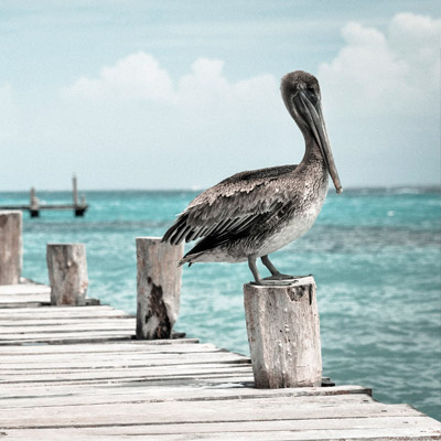 ddos压力测试网页端