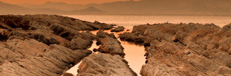 Web漏洞扫描工具