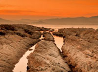 哪个平台最稳定的ddos在线攻击工具