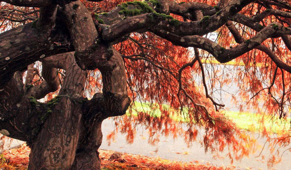 ddos在线攻击平台